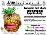 BIG Pineapple