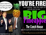 BIG Pineapple