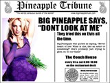 BIG Pineapple