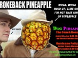 BIG Pineapple