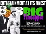 BIG Pineapple