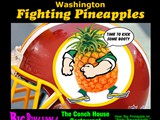 BIG Pineapple