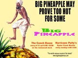 BIG Pineapple