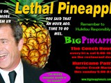 BIG Pineapple