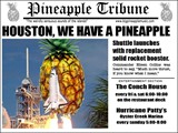 BIG Pineapple