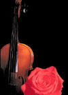 fidlbut.JPG (6853 bytes)