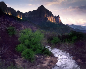 zion.JPG (31403 bytes)